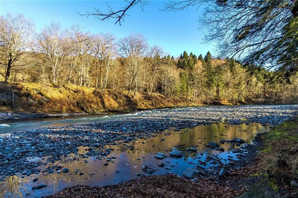 Летнее изображение