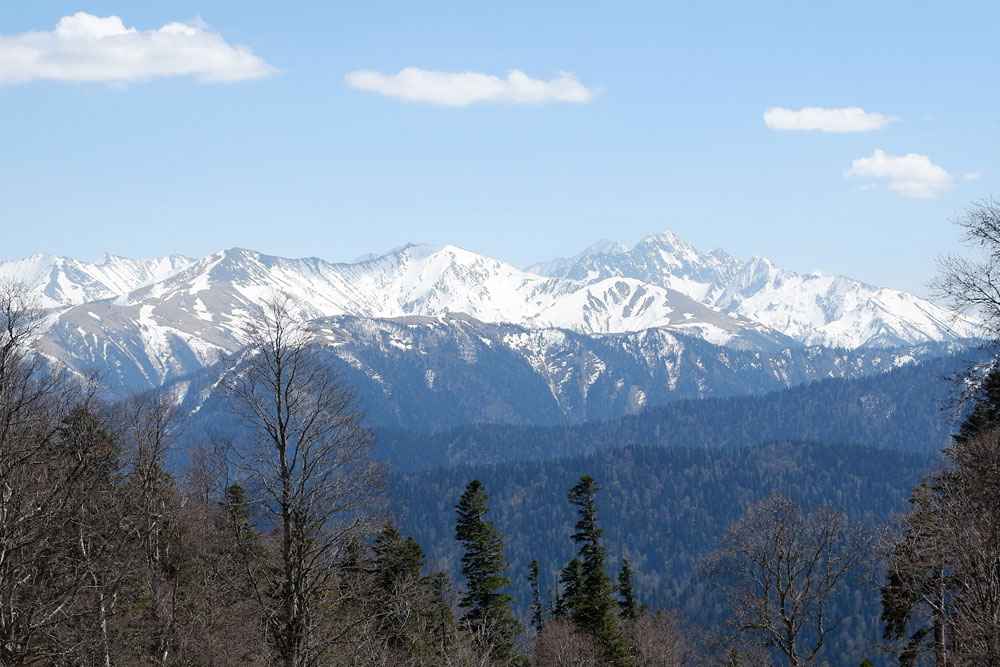 Зимнее изображение